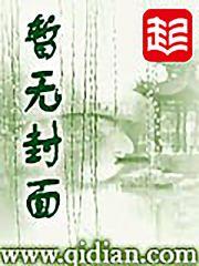 藏国小说简介